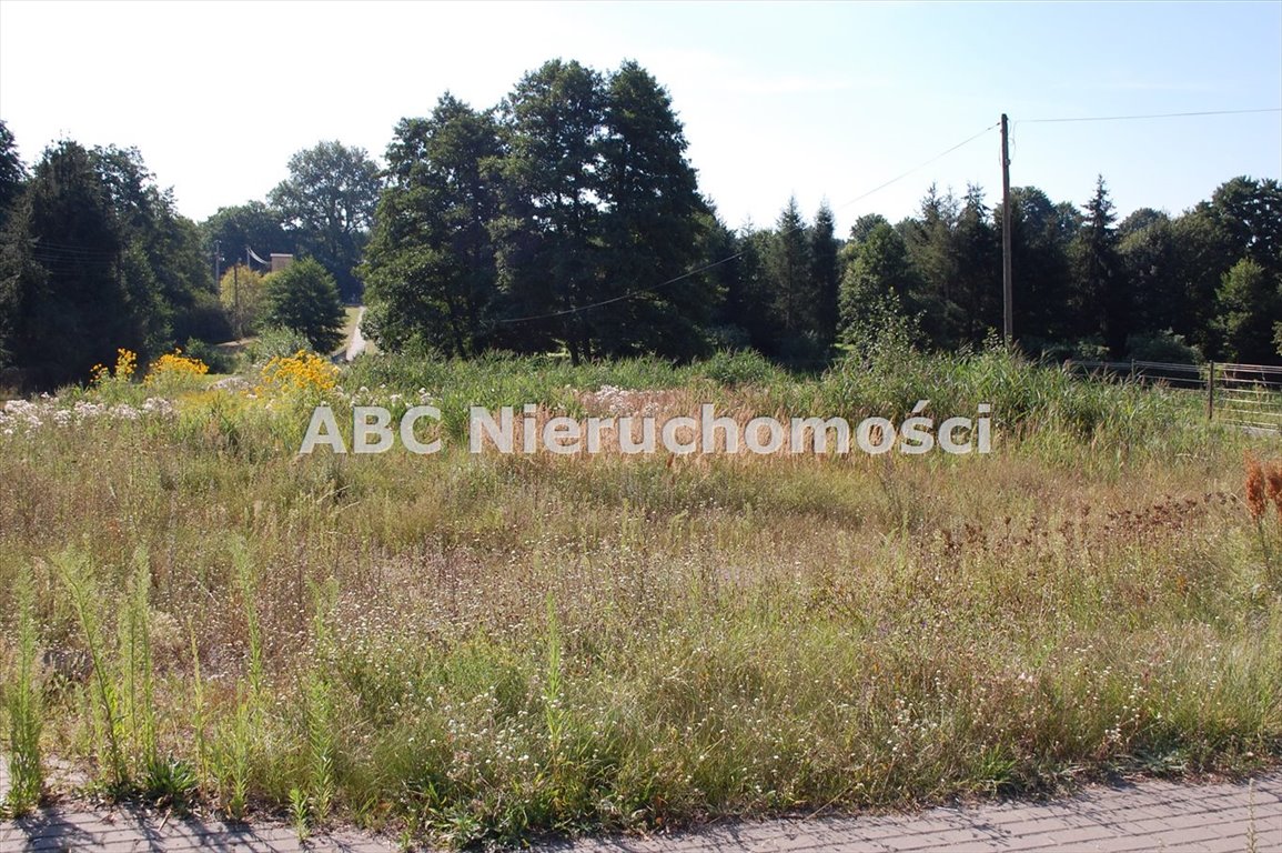 Działka budowlana na sprzedaż Skórka  1 700m2 Foto 3