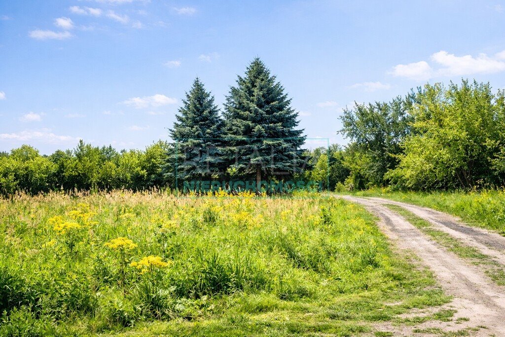 Działka w Ojrzanowie z możliwością budowy domu i ogrodem Ojrzanów  2 000m2 Foto 1