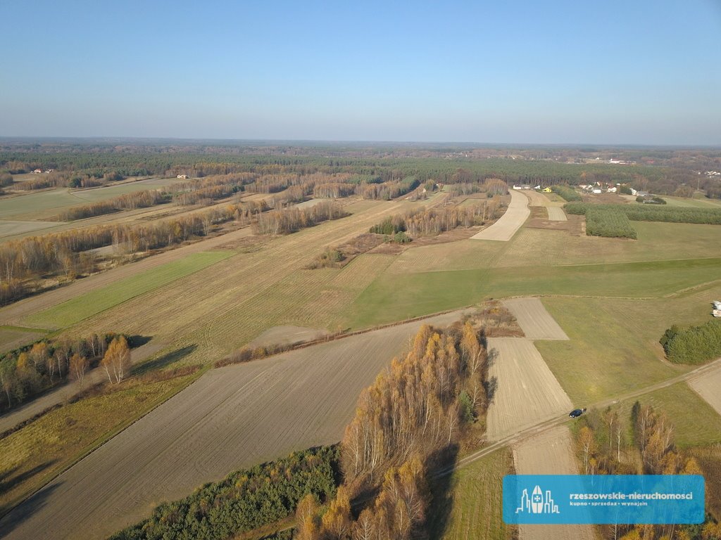 Działka rolna na sprzedaż Sędziszów Małopolski  4 000m2 Foto 4