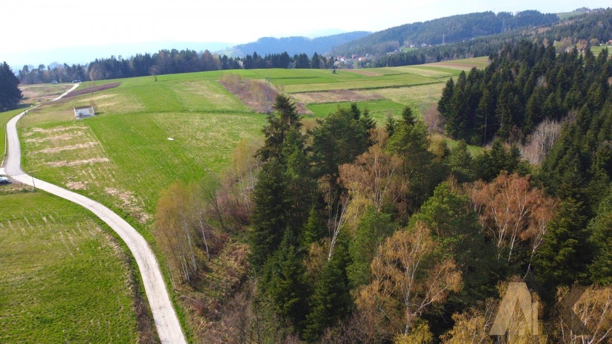 Działka budowlana na sprzedaż Paszyn  6 000m2 Foto 7