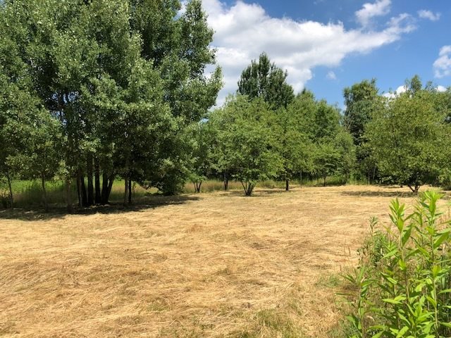Działka budowlana na sprzedaż Otwock, Jabłonna, Niezapominajki 857m2 Foto 1 Działka budowlana na sprzedaż Otwock, Jabłonna, Niezapominajki 857m2 Foto 1