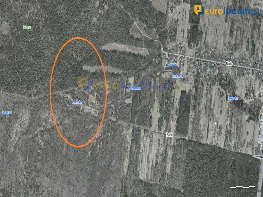 Działka leśna 9627 m² z możliwością zalesienia i zamizny Suchedniów  9 627m2 Foto 1