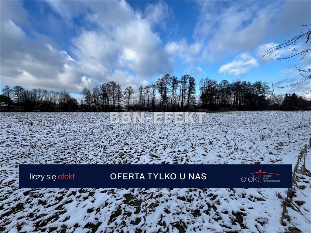 Działka budowlana na sprzedaż Biery  7 394m2 Foto 3