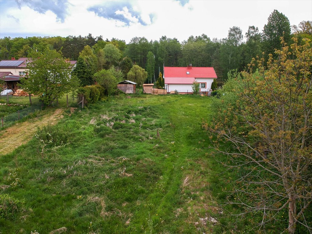 Działka budowlana na sprzedaż Orle  2 676m2 Foto 9