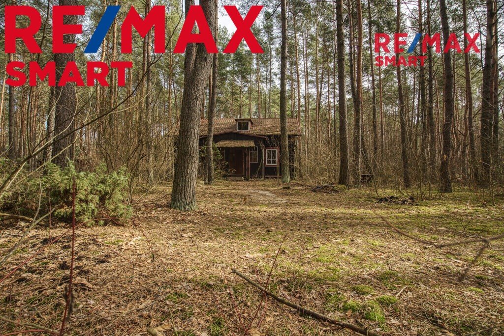 Działka 1900 m² z domkiem w lesie, MPZP, rekreacja Łosie, Ptasia  1 900m2 Foto 1