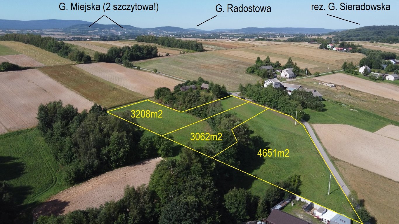 Działka budowlana na sprzedaż Radkowice-Kolonia  4 651m2 Foto 1