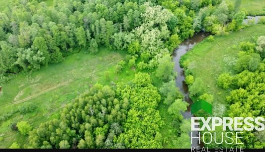 Działka budowlana na sprzedaż Kruszówiec, Nowa  4 500m2 Foto 4