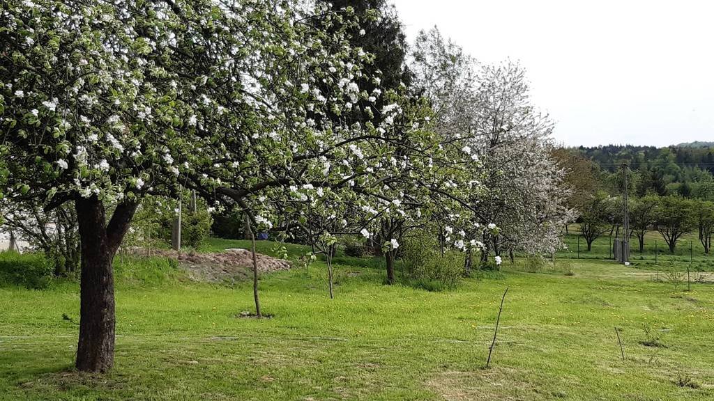 Działka budowlana na sprzedaż Markuszowa  30 000m2 Foto 6