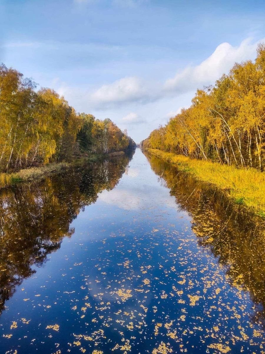 Dom na sprzedaż Rudzica, Rudzica, Łąkowa  126m2 Foto 15