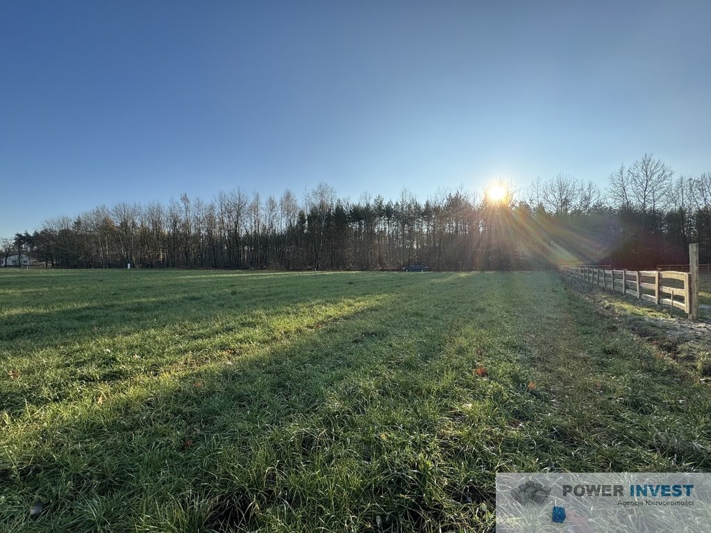 Działka budowlana na sprzedaż Powązki  9 700m2 Foto 9