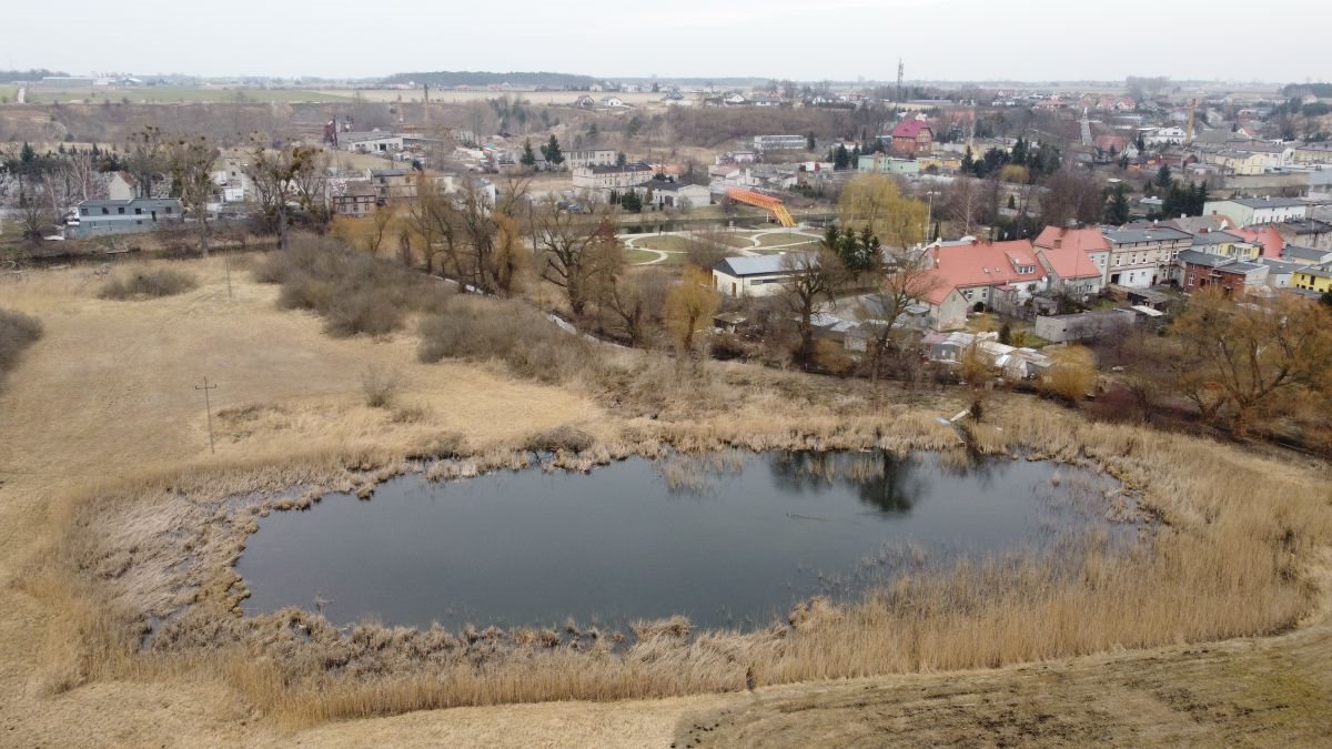 Działka rolna na sprzedaż Barcin  27 719m2 Foto 4