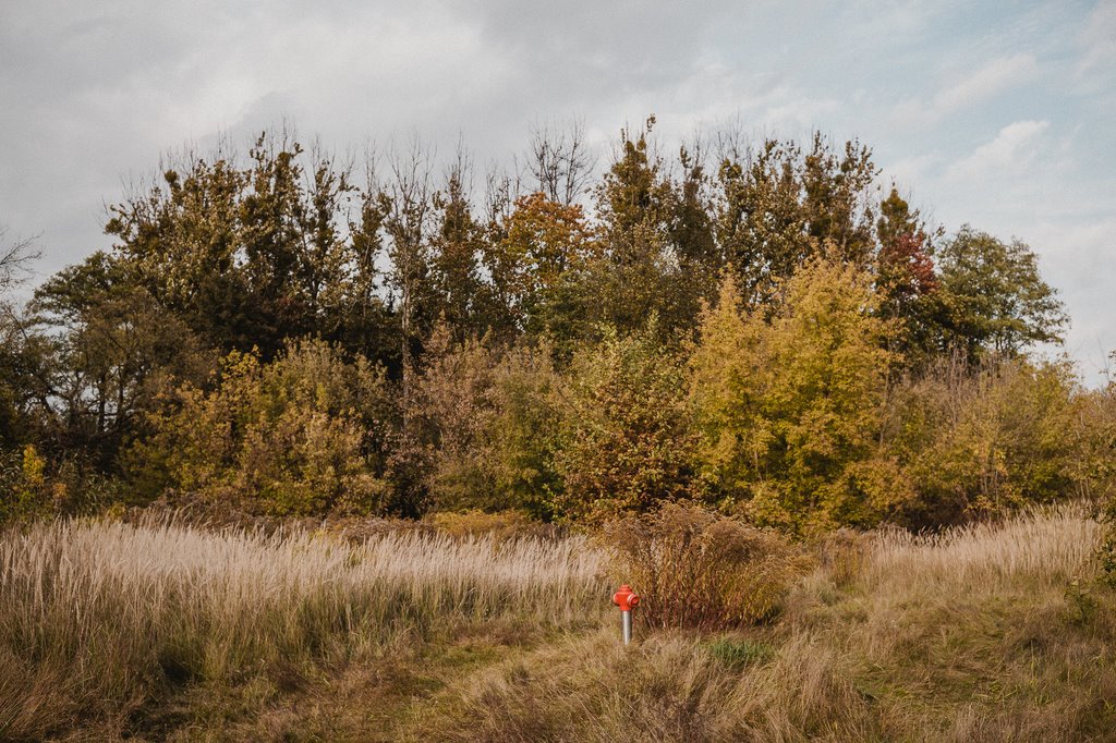 Działka budowlana na sprzedaż Chylice  9 500m2 Foto 4