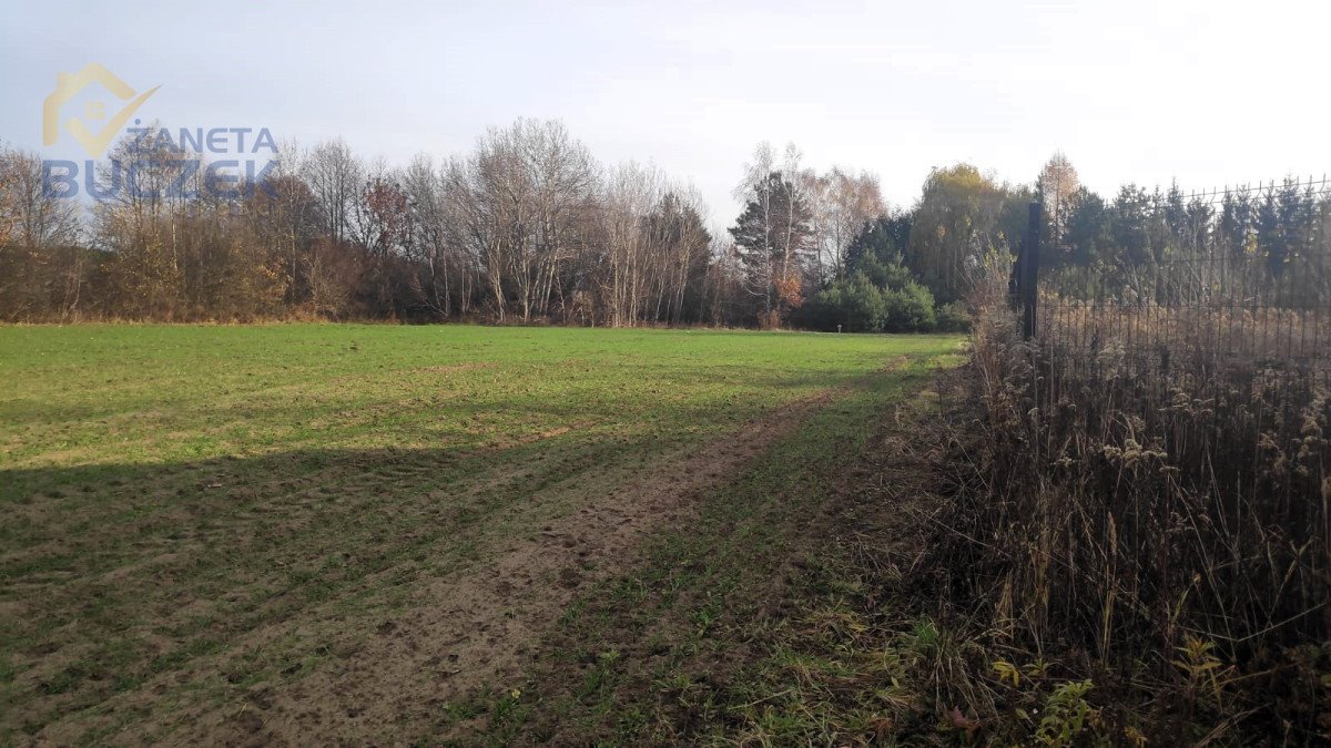 Działka budowlana na sprzedaż Lubiejew  1 000m2 Foto 7