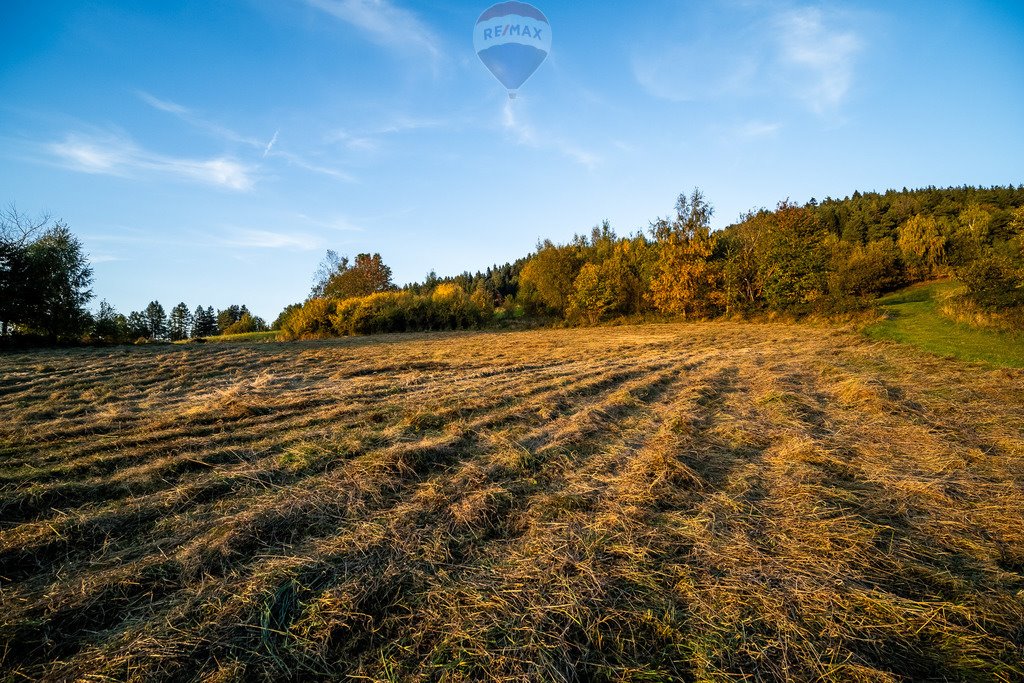 Działka budowlana na sprzedaż Łostówka  2 946m2 Foto 14