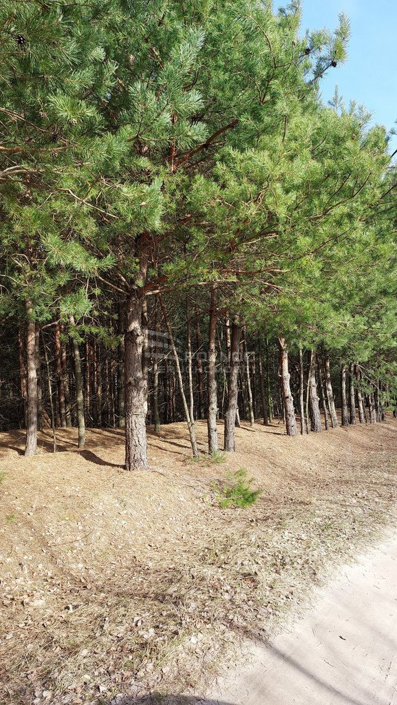 Działka rolna na sprzedaż Cieleśnica  12 700m2 Foto 5