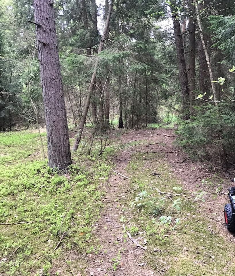 Działka gospodarstwo rolne na sprzedaż Bogusze  12 000m2 Foto 1