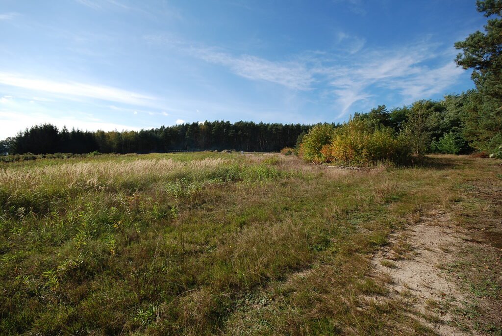 Działka budowlana na sprzedaż Grodzanów  1 000m2 Foto 10