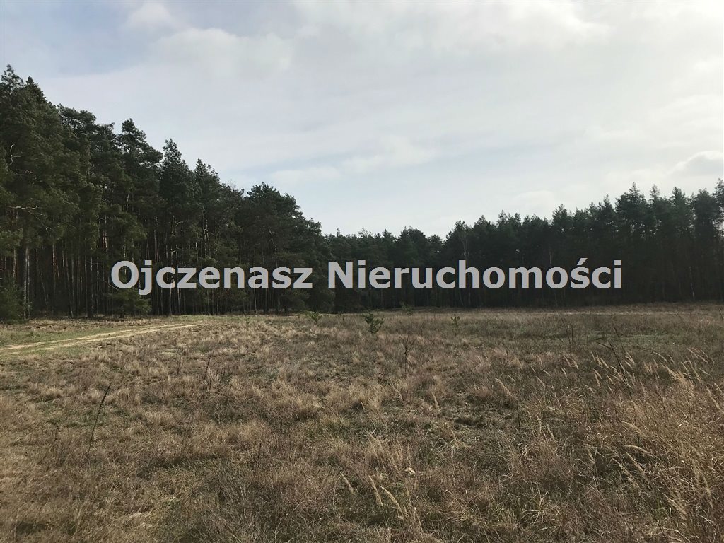 Działka 10 251 m² z lasami i dostępem do jeziora - zapraszam Czarże  10 251m2 Foto 1