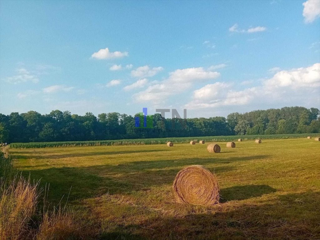 Działka rolna na sprzedaż Sadowice  7 400m2 Foto 1