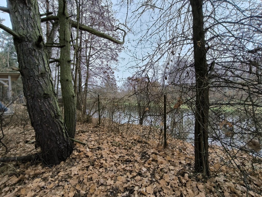 Działka rekreacyjna na sprzedaż Borkowo, Rzeczna  2 302m2 Foto 5