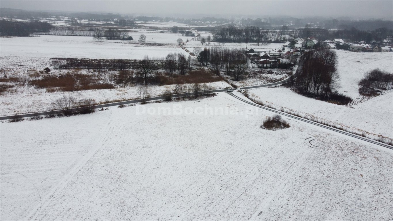 Działka rolna na sprzedaż Dębina  8 902m2 Foto 11