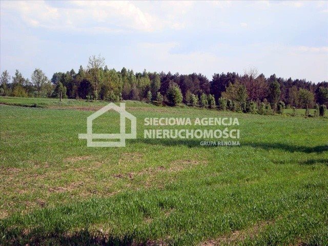 Działka rolna na sprzedaż Kamienica Szlachecka  10 355m2 Foto 4