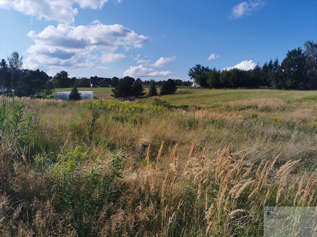 Działka budowlana na sprzedaż Wodzisław Śląski  2 084m2 Foto 6