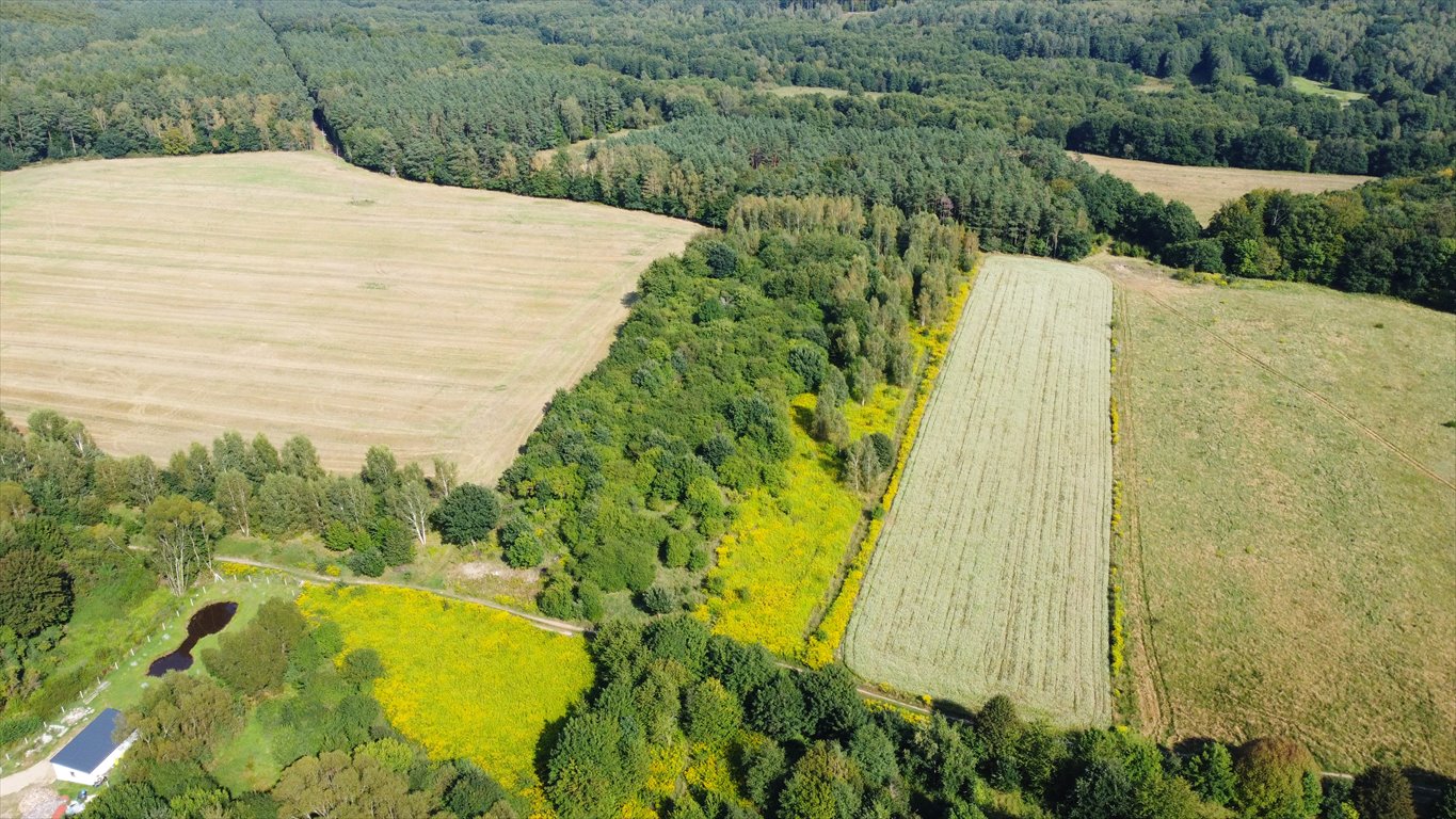 Działka rolna na sprzedaż Krąg  2 936m2 Foto 6