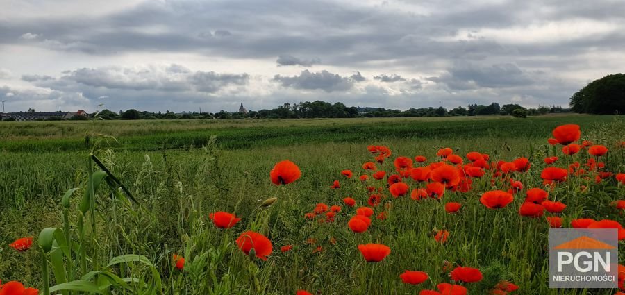 Do sprzedania działka 2026 m² z warunkami zabudowy w Trzebiatowie TRZEBIATÓW OKOLICA  2 026m2 Foto 1