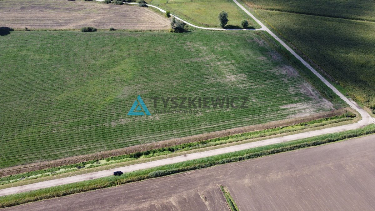 Działka rolna na sprzedaż Rokitnica, Ogrodowa  4 219m2 Foto 2