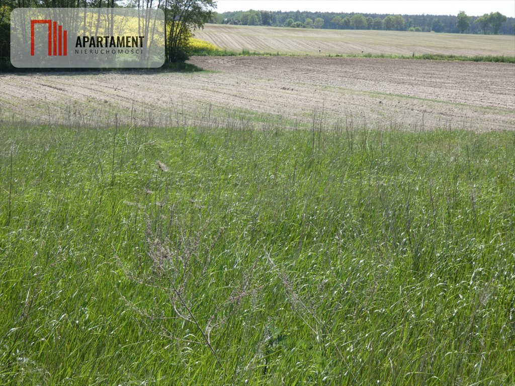 Działka budowlana na sprzedaż Rogowo  714m2 Foto 3