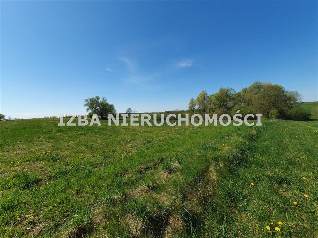 Działka budowlana na sprzedaż Ginie  3 961m2 Foto 16