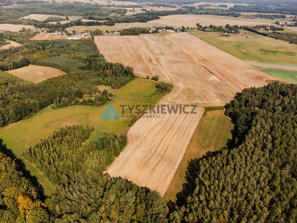 Działka rolna na sprzedaż Ełganowo, Macierzy Szkolnej  6 500m2 Foto 2