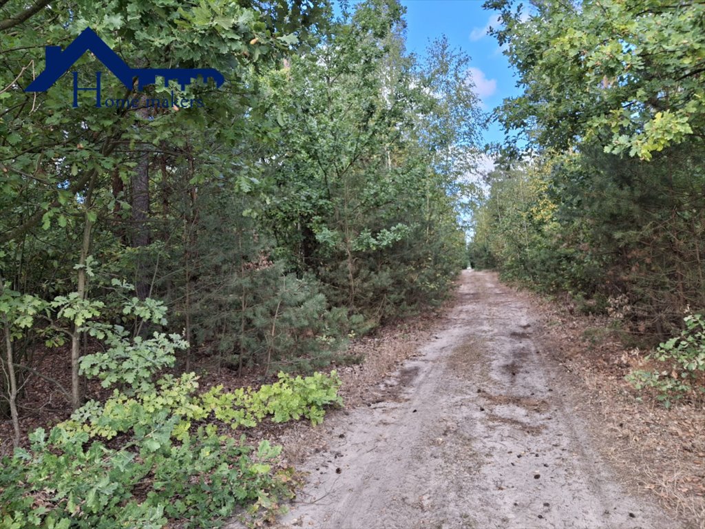 Działka leśna na sprzedaż Chudowola  1 000m2 Foto 1