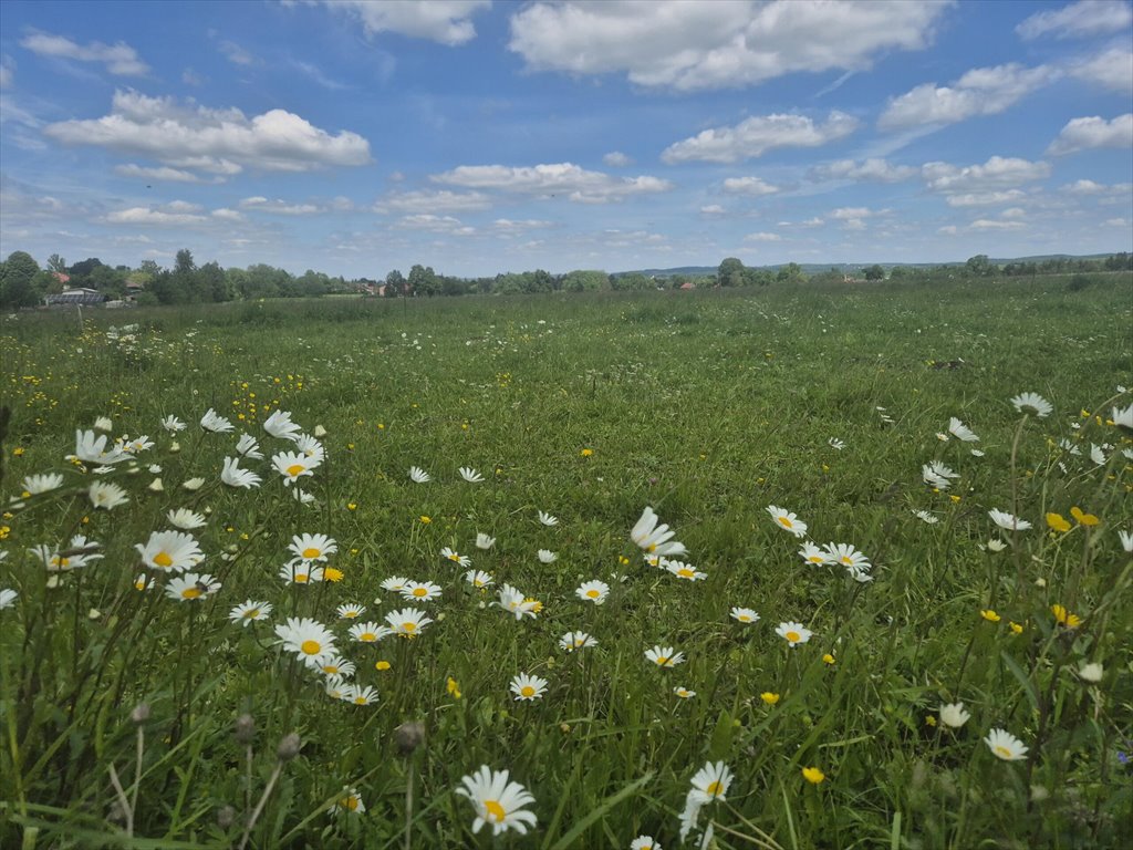 Działka rolna na sprzedaż Samoklęski  5 458m2 Foto 1