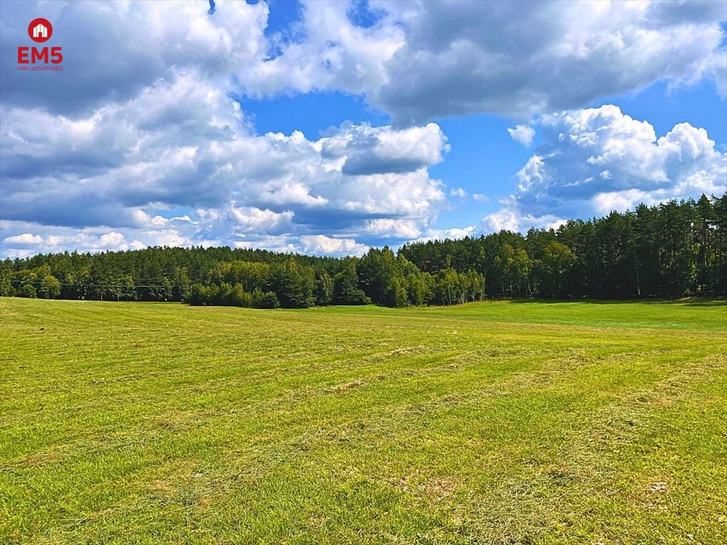 Działka inna na sprzedaż Olsztynek  1 600m2 Foto 1