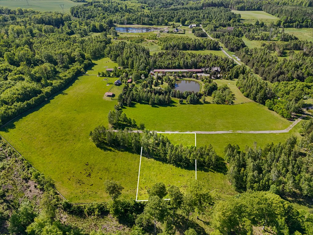 Działka budowlana na sprzedaż Gniewino  3 450m2 Foto 6