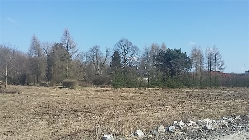 Działka budowlana na sprzedaż Warszawa, Wilanów, Rosy  1 200m2 Foto 6