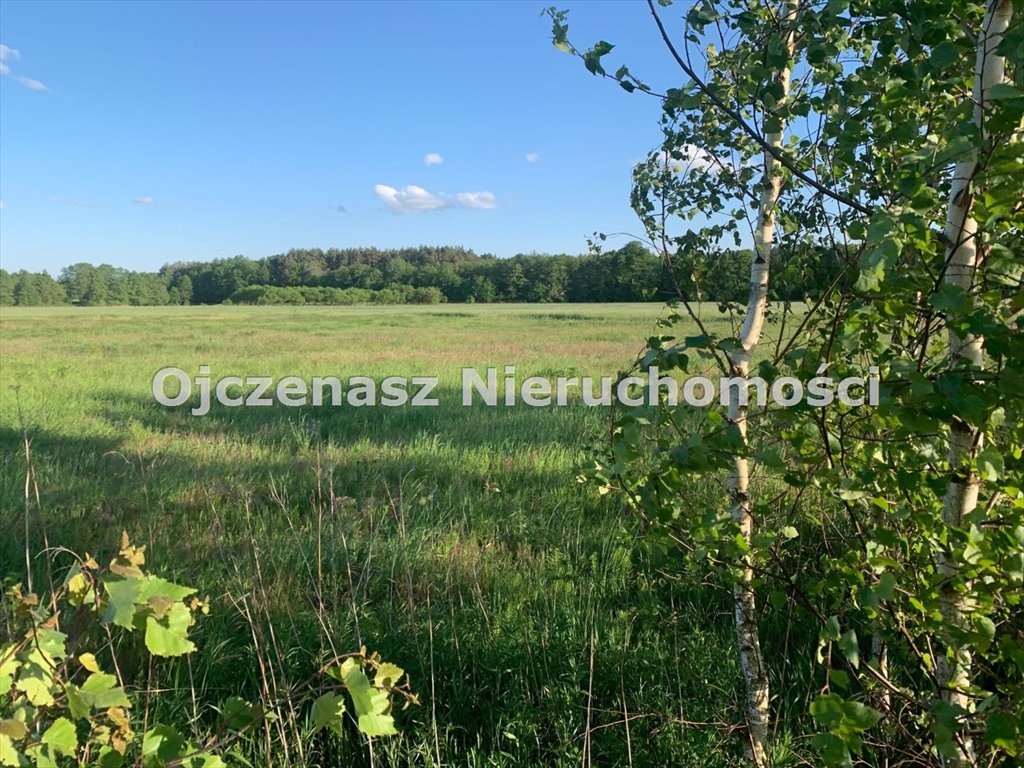 Działka pod zabudowę bliźniaczą 10 243 m² z prądem Żołędowo  10 243m2 Foto 1