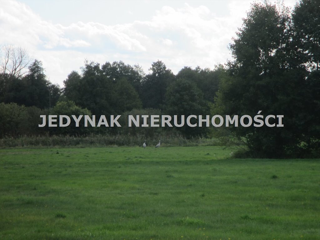 Duża działka pod zabudowę w pięknej okolicy z wodnym zbiornikiem. Kruszyn Krajeński  8 779m2 Foto 1