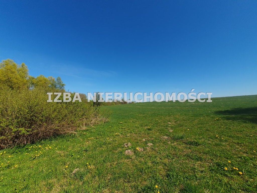 Działka budowlana na sprzedaż Ginie  3 961m2 Foto 7