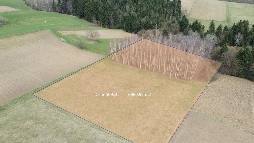 Działka siedliskowa na sprzedaż Olszyny  6 961m2 Foto 1