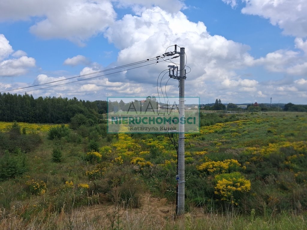 Zdjęcie 6