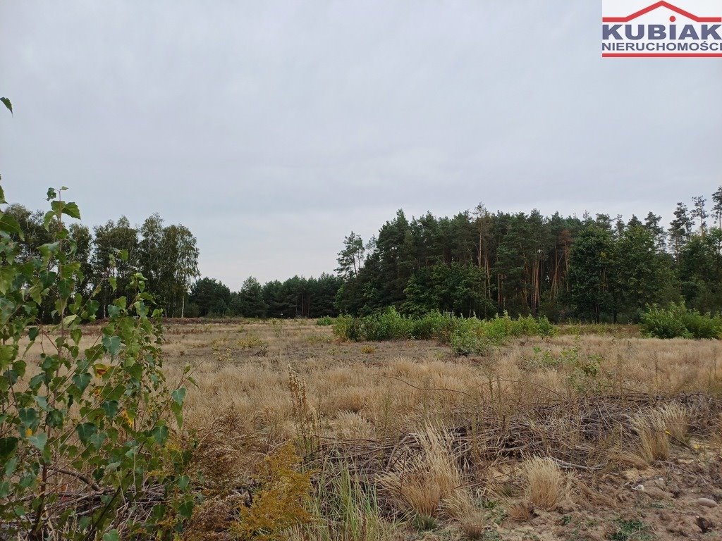 Dwie działki budowlane 1322 m2 z mediami i deweloperską Osowiec  1 322m2 Foto 1