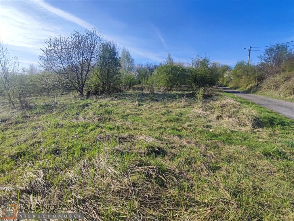 Działka rolna na sprzedaż Brzozówka Korzkiewska  5 600m2 Foto 1