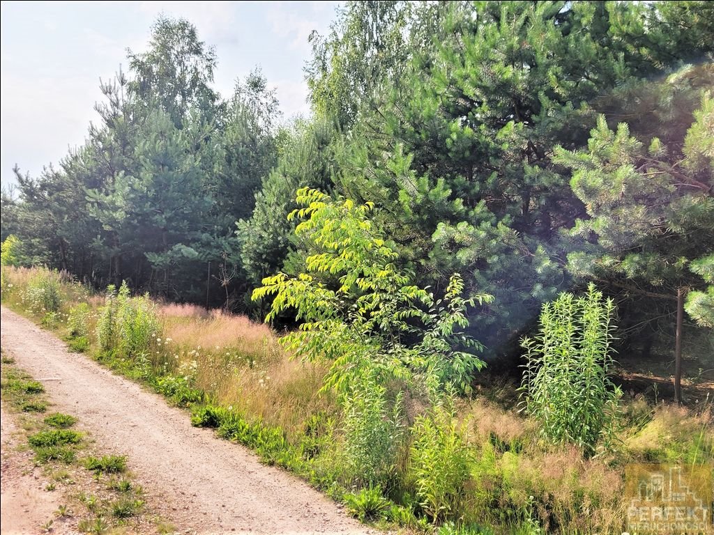 Działka budowlana na sprzedaż Żelechów, Żelechów, Zgodna  1 253m2 Foto 5