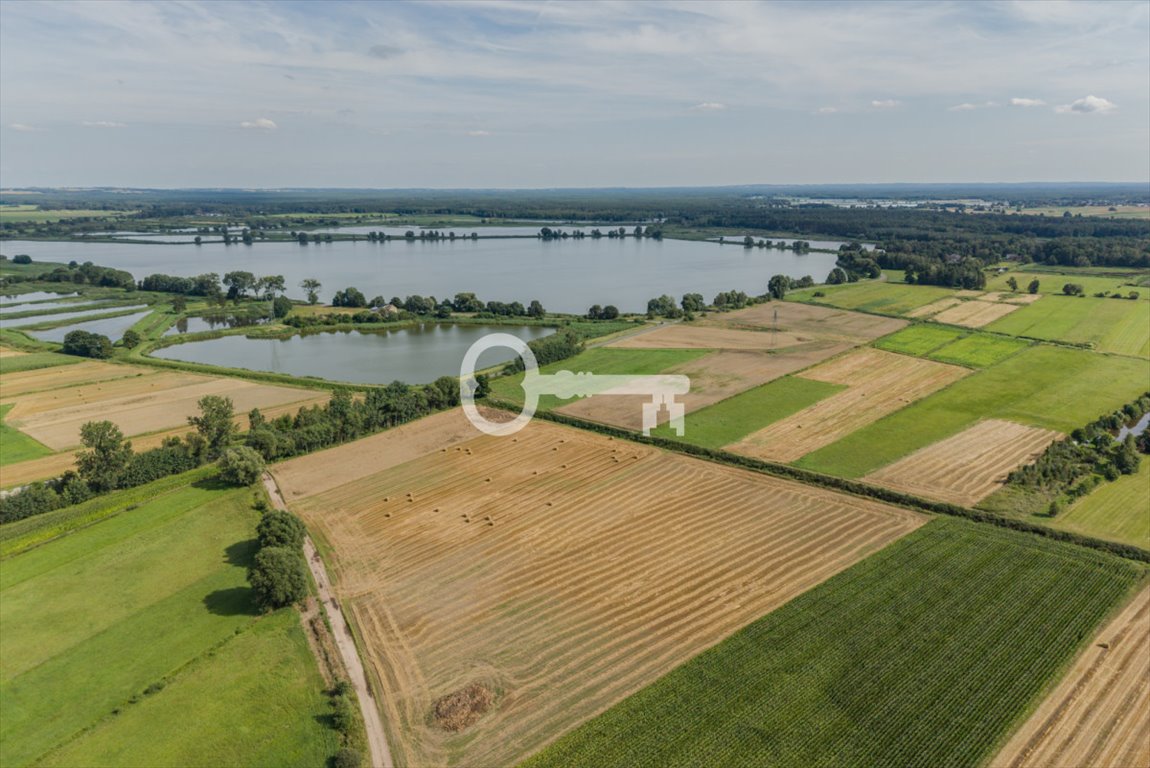 Działka z domkami - spa jacuzzi i taras na dachu Janków Przygodzki, Łąkowa  1 400m2 Foto 1