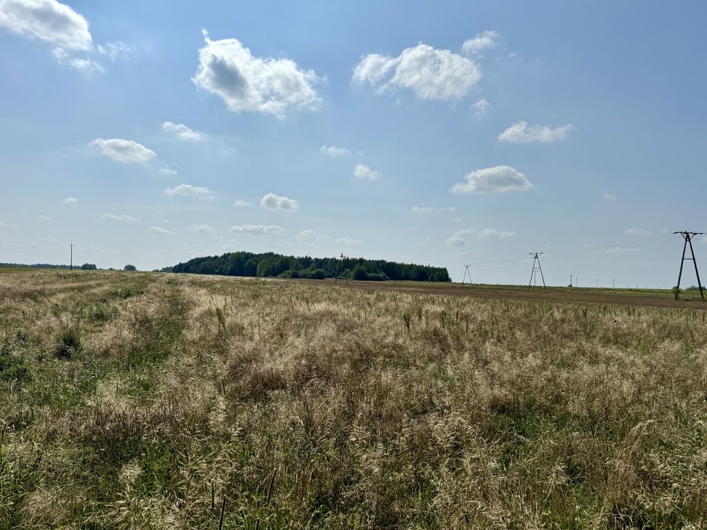 Działka budowlana na sprzedaż Kamostek  9 000m2 Foto 2