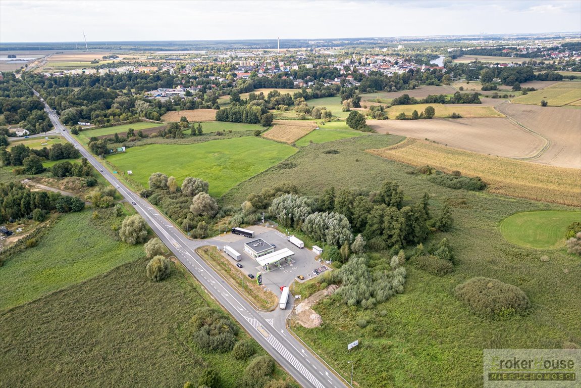 Działka inwestycyjna na sprzedaż Krapkowice, Kozielska  7 537m2 Foto 7