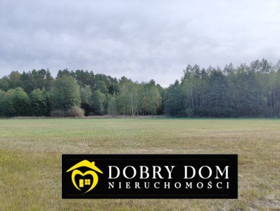 Działka rolna na sprzedaż Folwarki Wielkie  29 100m2 Foto 18